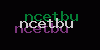 Visual Verification